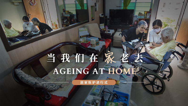 Ageing at Home